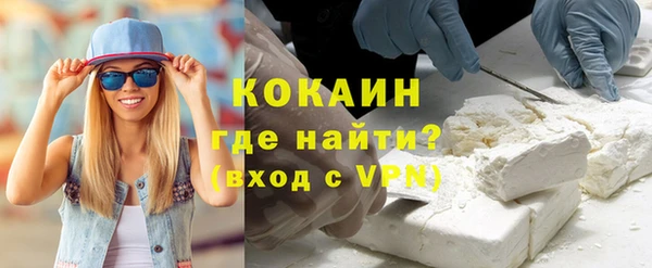 индика Михайловка