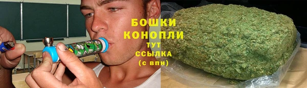 индика Михайловка