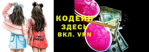 индика Михайловка