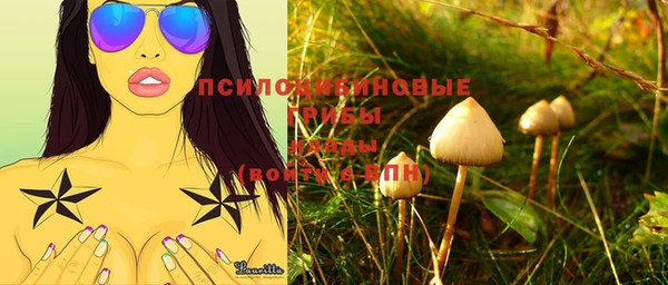 марки lsd Михайлов