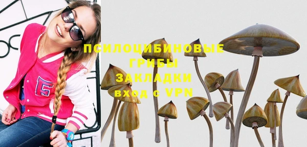 индика Михайловка