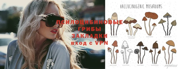 индика Михайловка