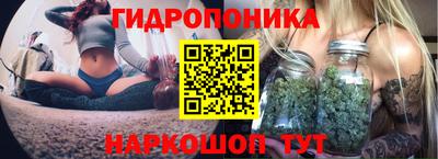 ПСИЛОЦИБИНОВЫЕ ГРИБЫ Азнакаево