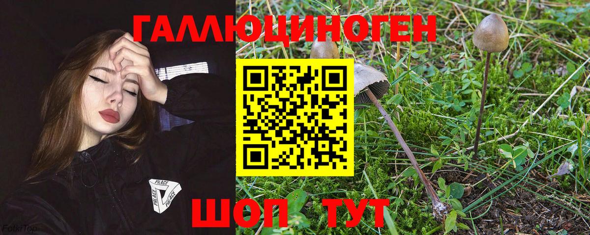 Псилоцибиновые грибы мухоморы Ангарск