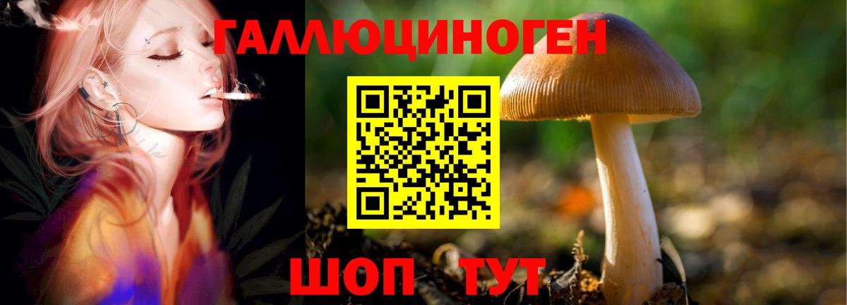 Ангарск  Псилоцибиновые грибы ЛСД  Вход с VPN  Галлюциногенные грибы мухоморы 