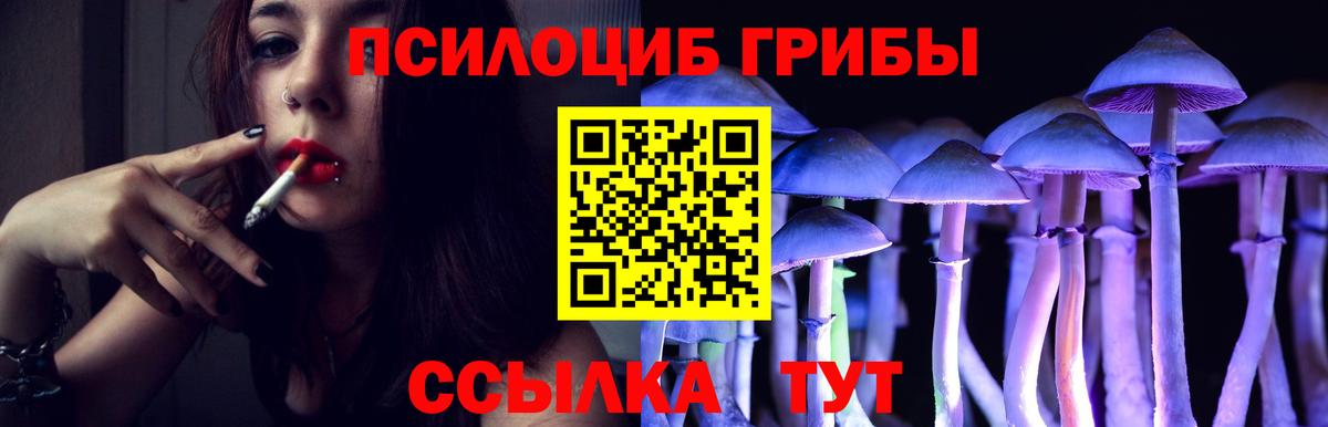Галлюциногенные грибы Psilocybine cubensis  наркотики  Ангарск  Вход с VPN 